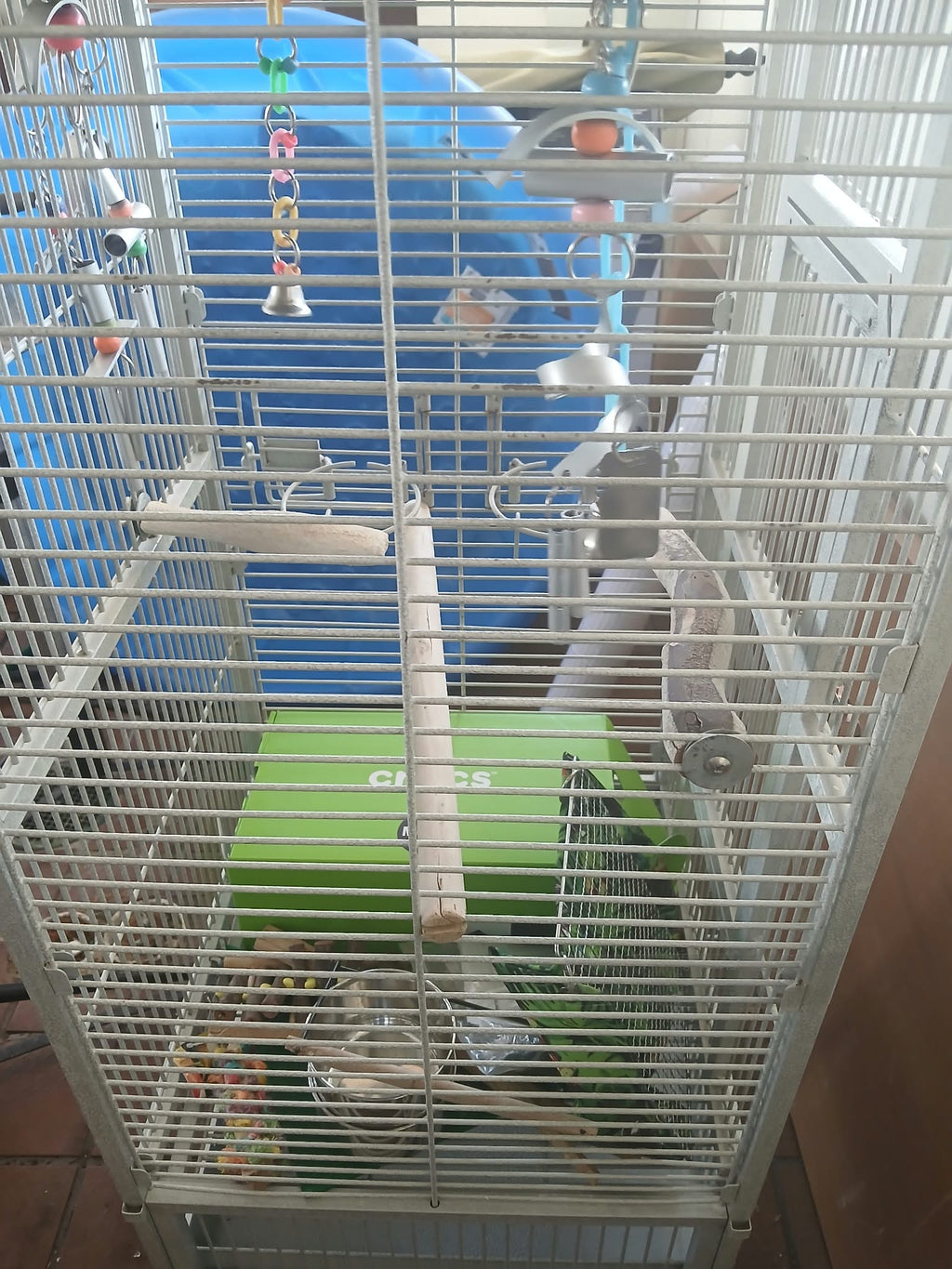 Large Bird Cage with Toys & Accessories