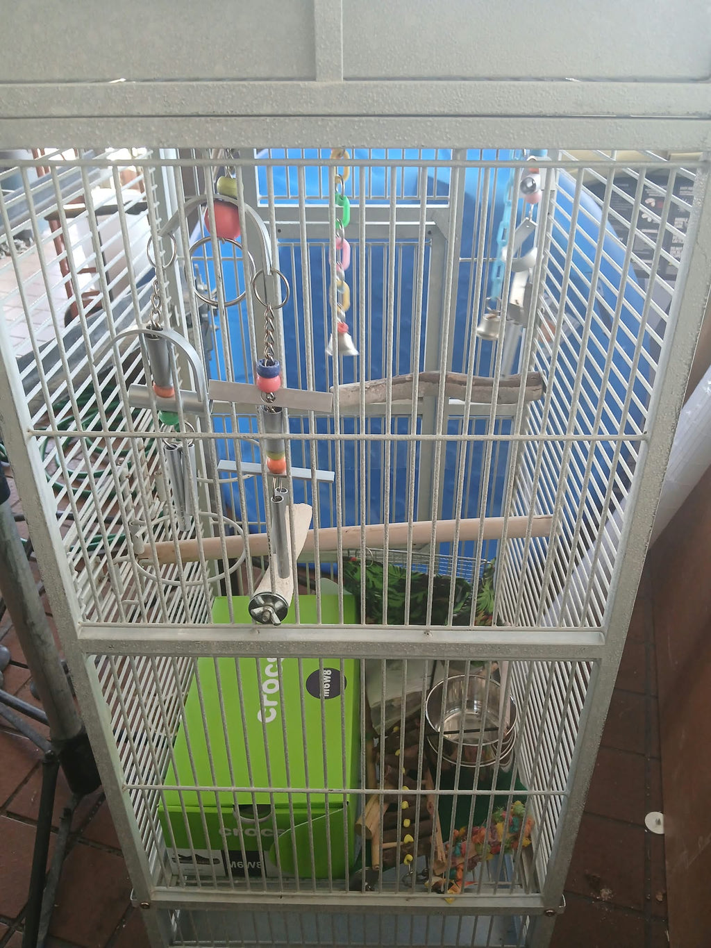 Large Bird Cage with Toys & Accessories