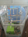 Large Bird Cage with Toys & Accessories