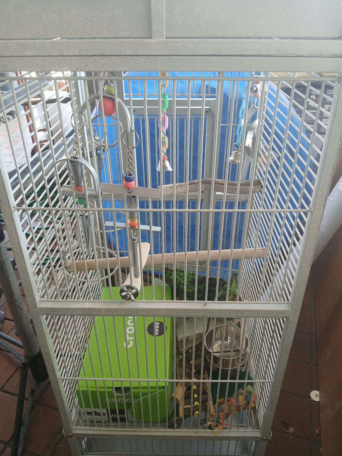 Large Bird Cage with Toys & Accessories