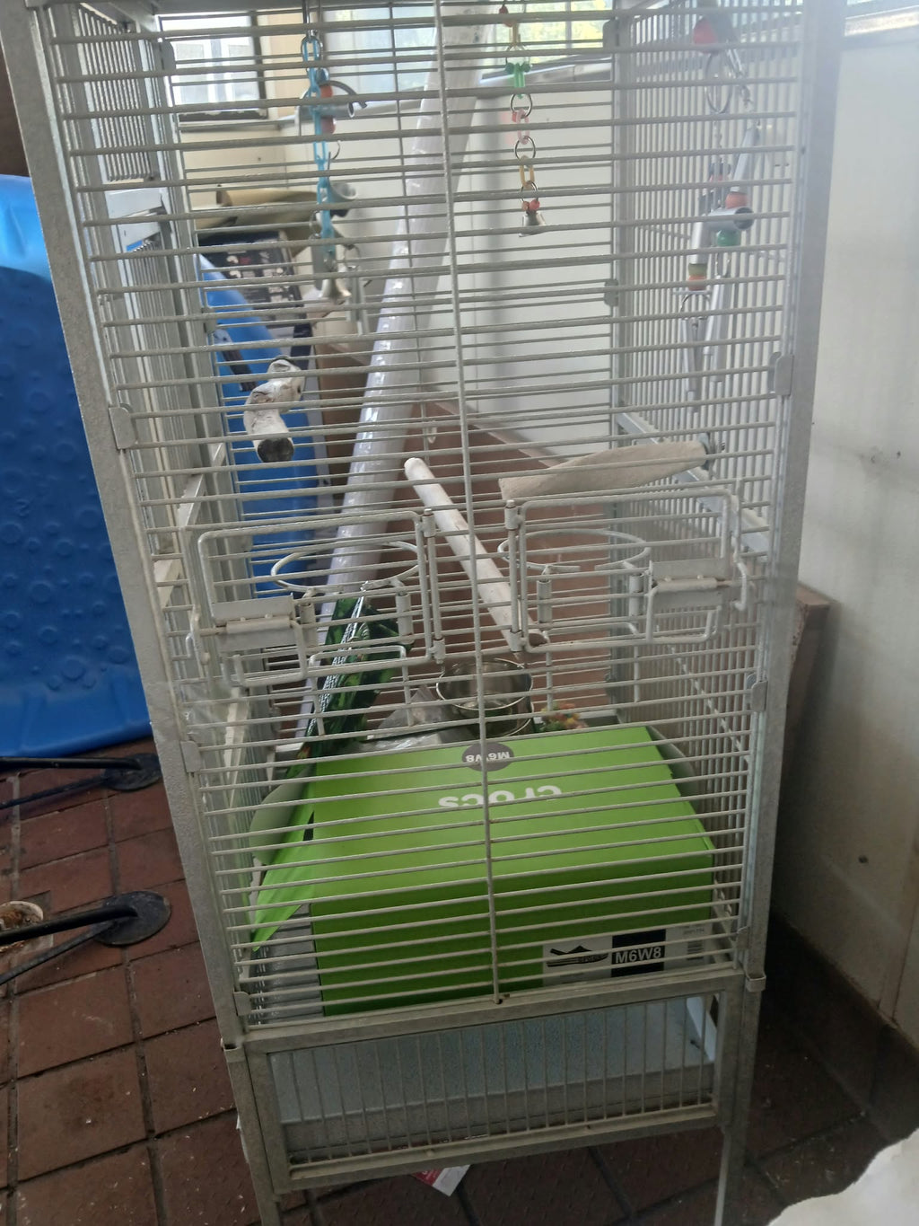 Large Bird Cage with Toys & Accessories
