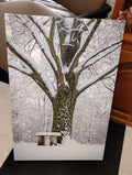 Snow-Covered Tree Canvas Print