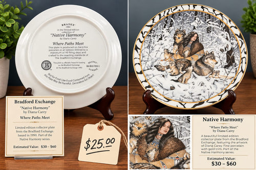 "Native Harmony: Where Paths Meet" Collector Plate by Diana Carey
